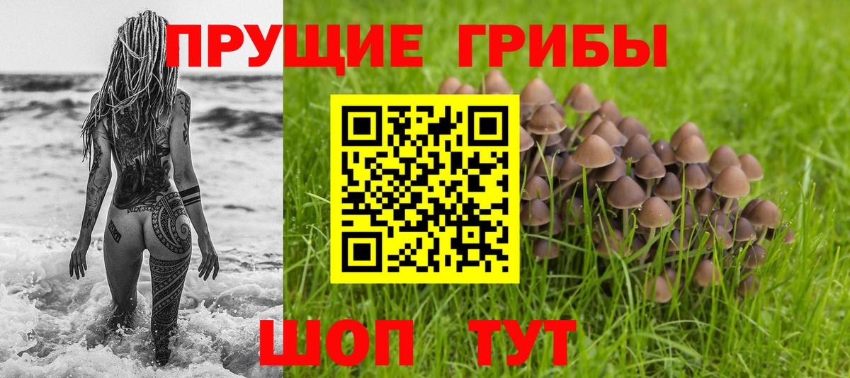 Галлюциногенные грибы GOLDEN TEACHER Донецк