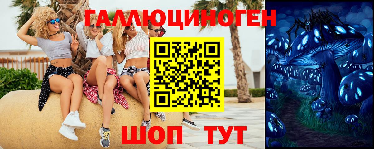 Донецк  Псилоцибиновые грибы Psilocybe  Вход с VPN 